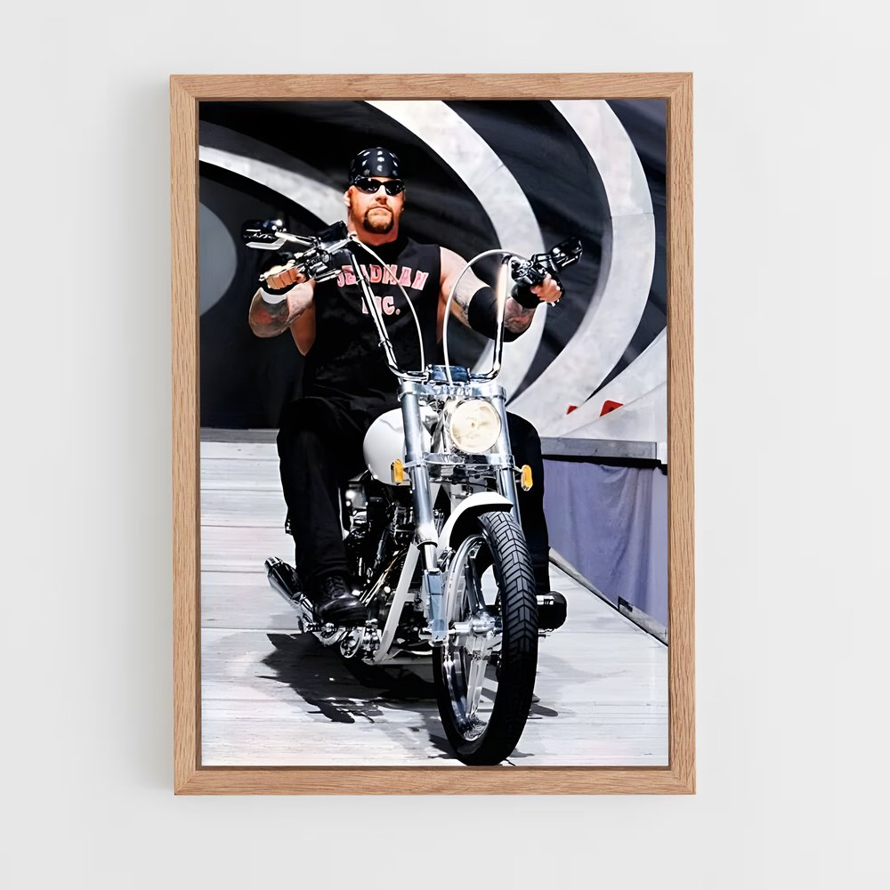 Poster Rider de l'Ombre (vue 4)